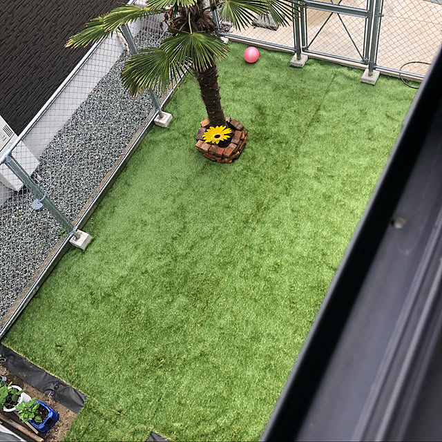 Mikaさんの実例写真
