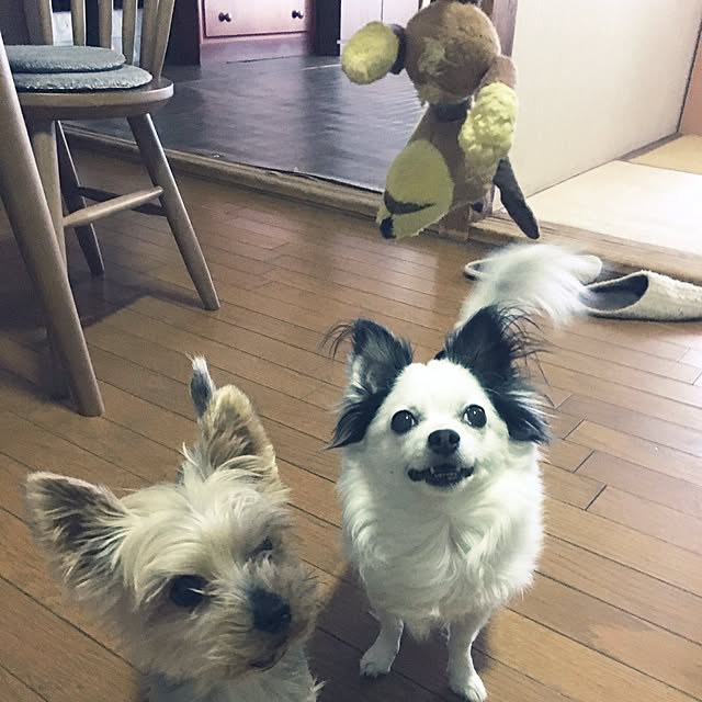 ohanaさんの実例写真