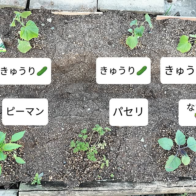 feuileさんの部屋
