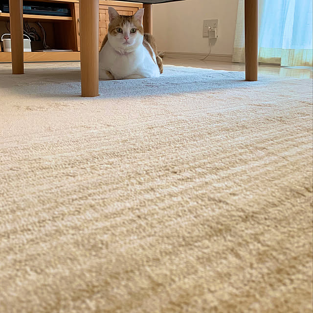 bikkeさんの実例写真