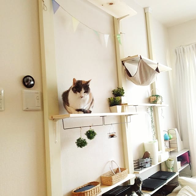 sisimaru1023さんの実例写真