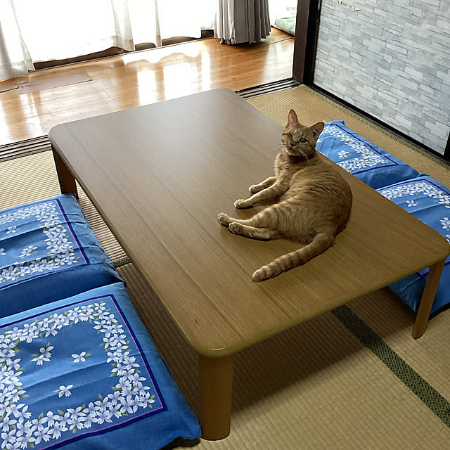 conatuさんの実例写真