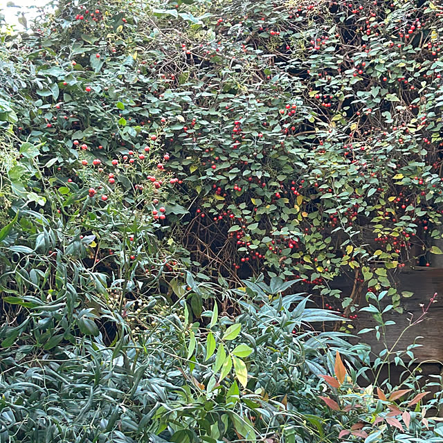 fumikoiさんの部屋