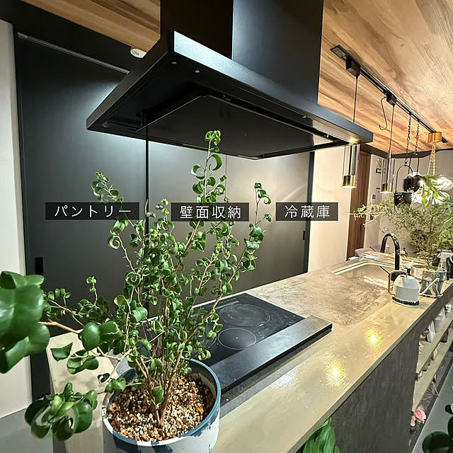 protea_homeさんの部屋