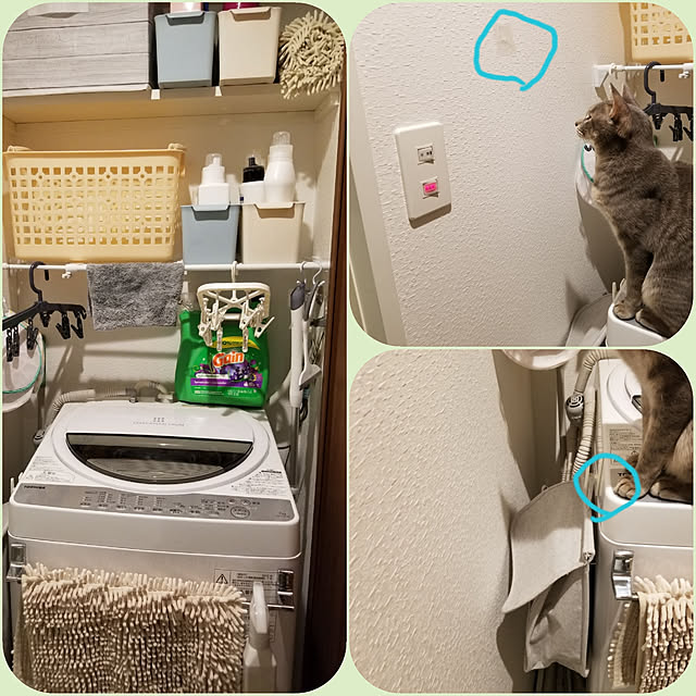 yukiさんの実例写真