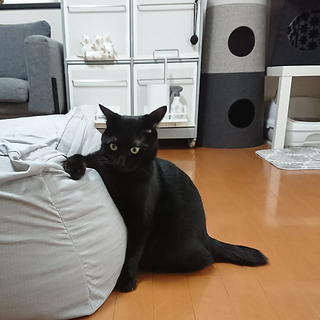 maikyさんの実例写真