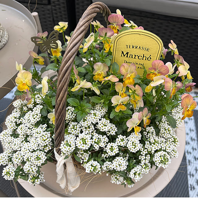 felicityさんの実例写真