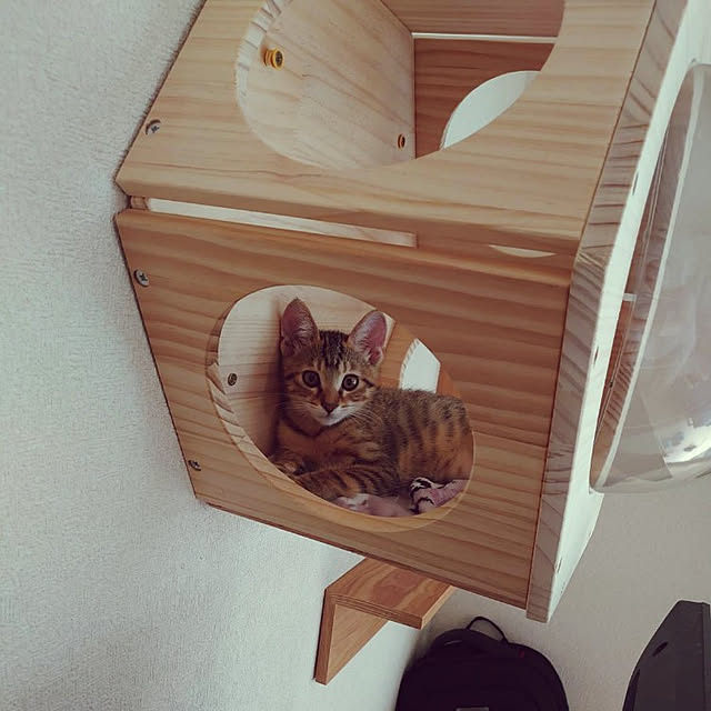 snow1216さんの実例写真