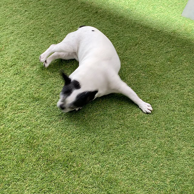 Tetsuyaさんの部屋