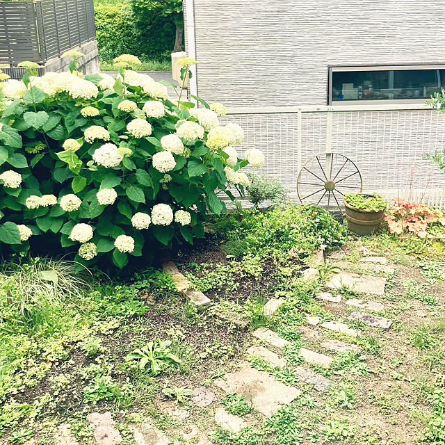 yukieさんの実例写真