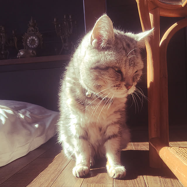 KINGさんの実例写真