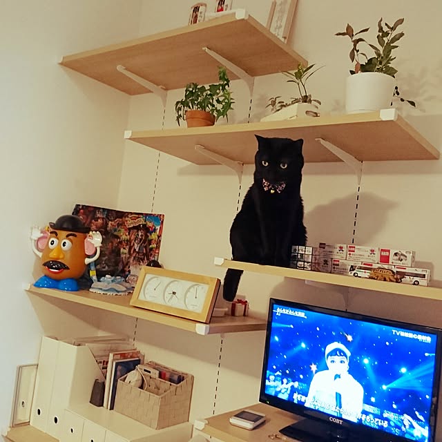 HoshiYukiさんの実例写真