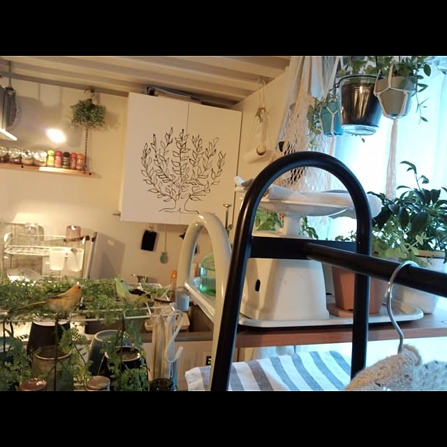 I_naomiさんの実例写真