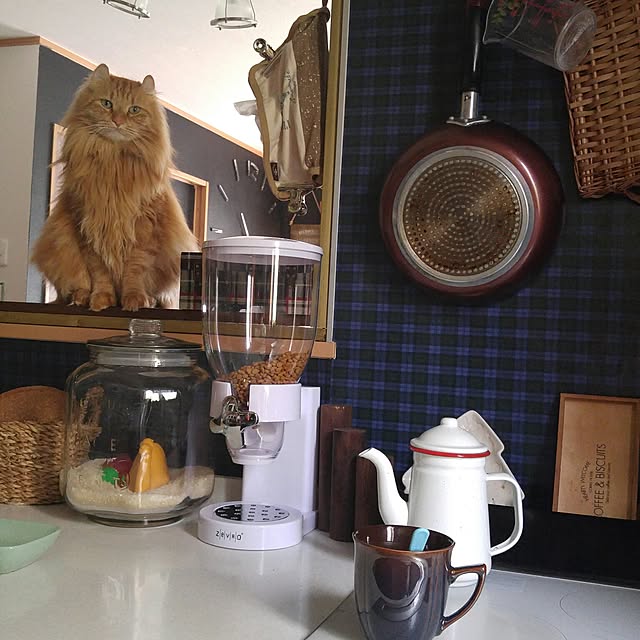 l..tomesanさんの実例写真