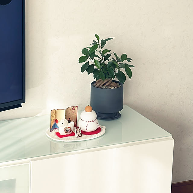 kawauso15さんの部屋