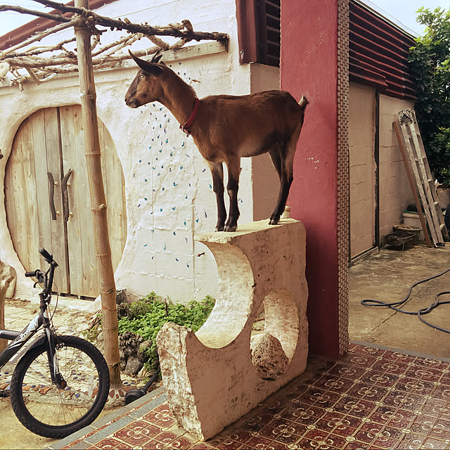 nishibaruyaさんの実例写真