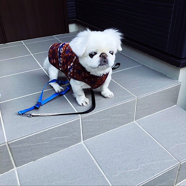 missさんの実例写真