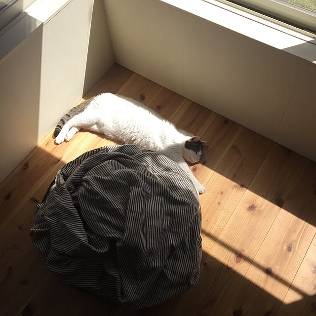 mohayaeteさんの実例写真