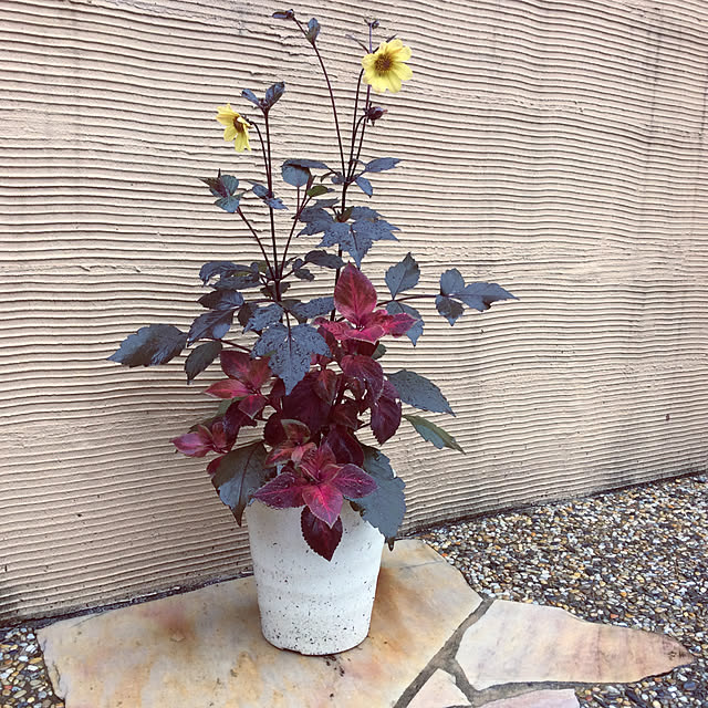 K35Oさんの実例写真