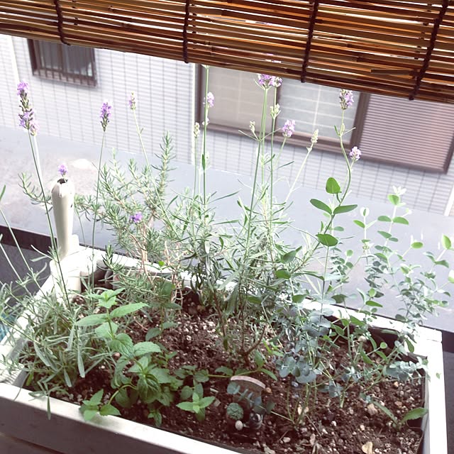 kotahiguさんの部屋