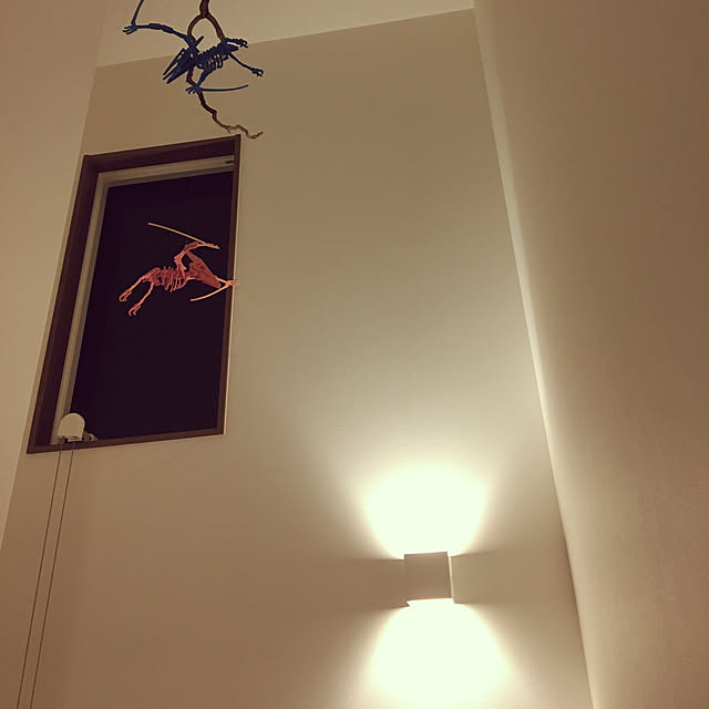 seiさんの実例写真