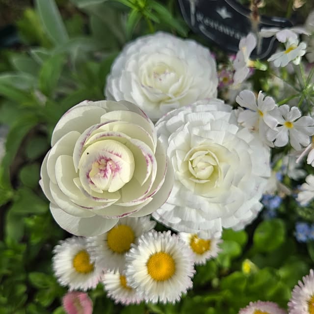 min_nimさんの実例写真