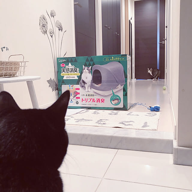 nekomiさんの実例写真