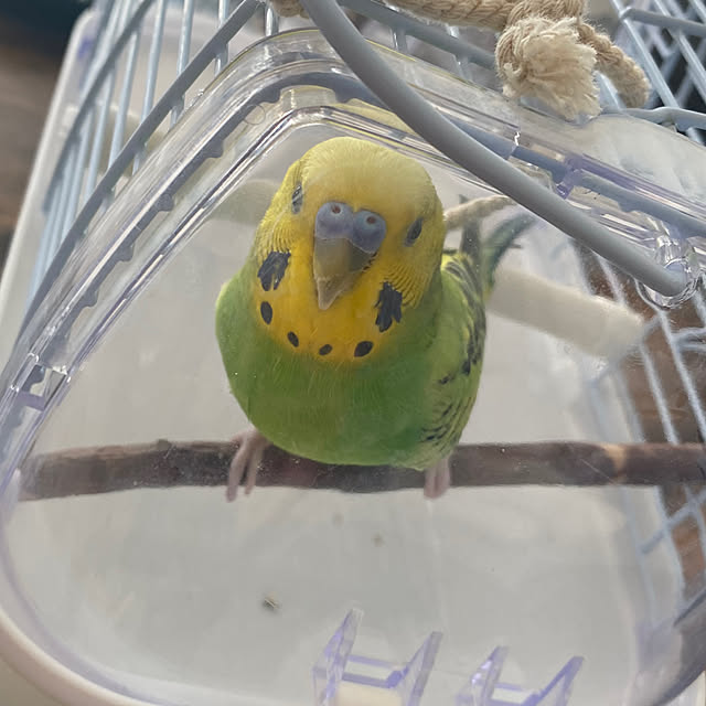 ohanaさんの部屋