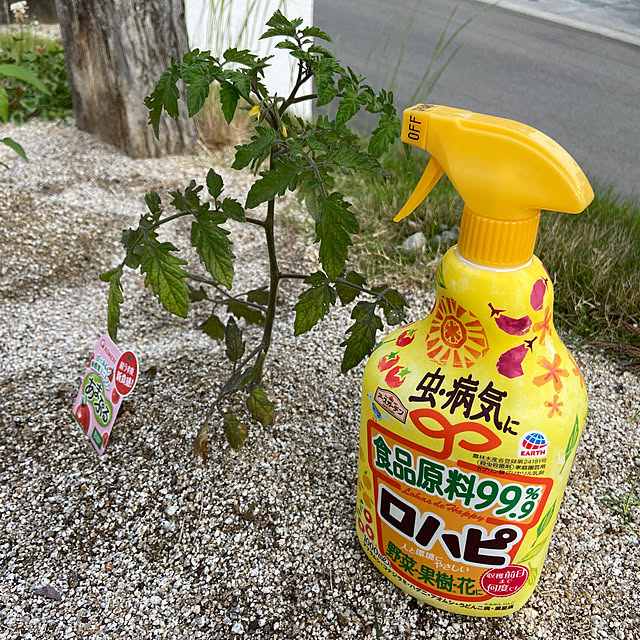 Suzuki.Pandaさんの実例写真