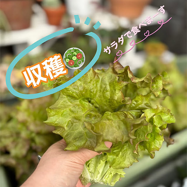Ururuさんの部屋