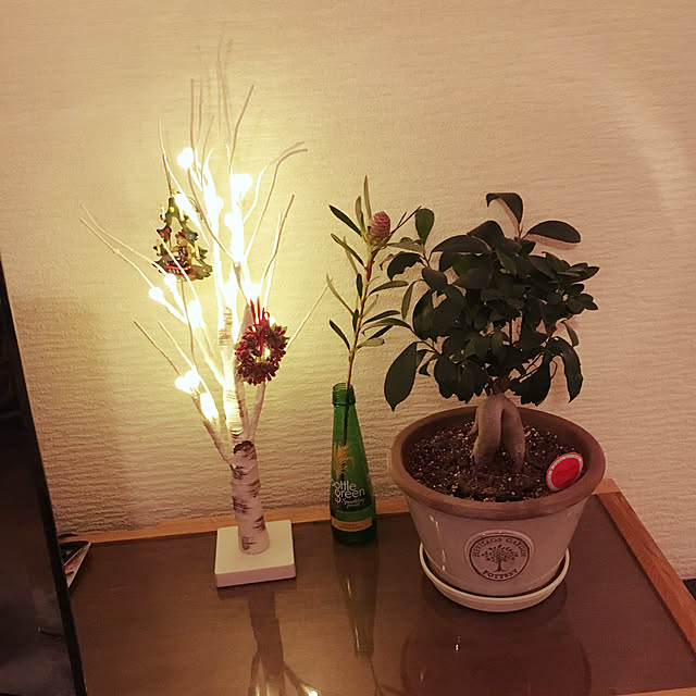 alainさんの実例写真