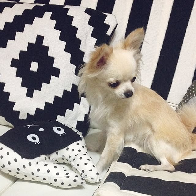 honeyさんの実例写真