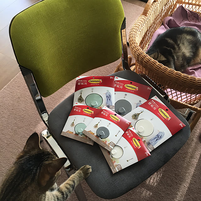 mikomaruさんの実例写真