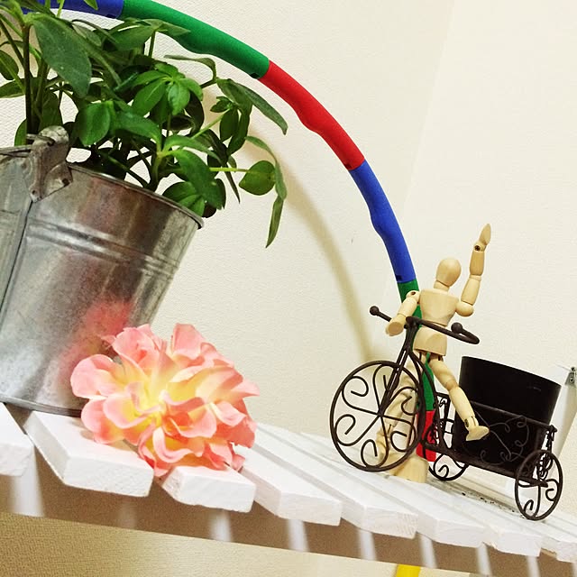 maruさんの実例写真
