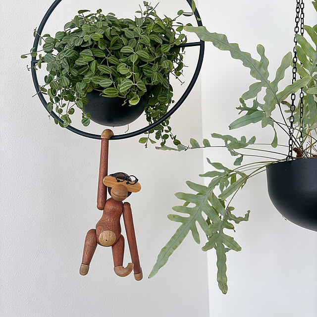 suzumaruさんの実例写真