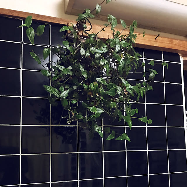 mikan161さんの実例写真
