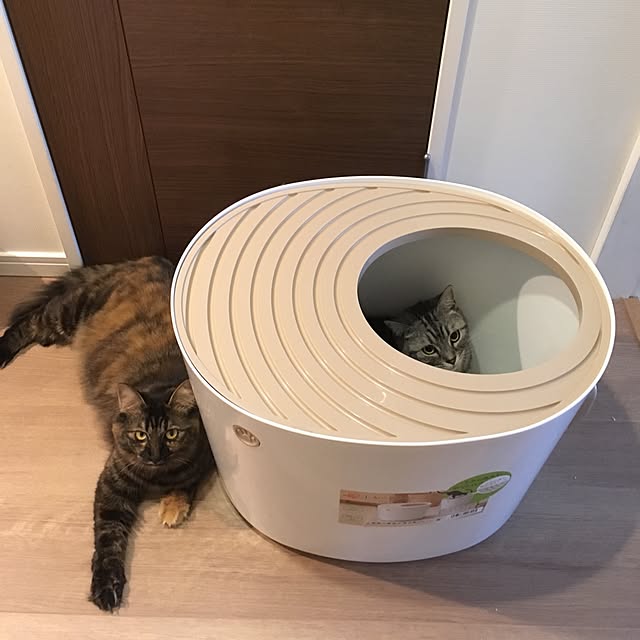 mikomaruさんの実例写真