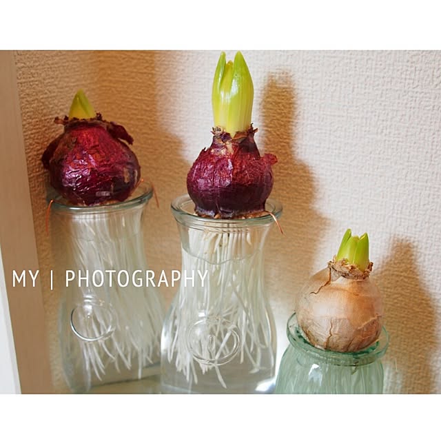 Chihiroさんの実例写真
