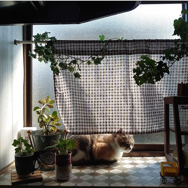 fukuさんの部屋