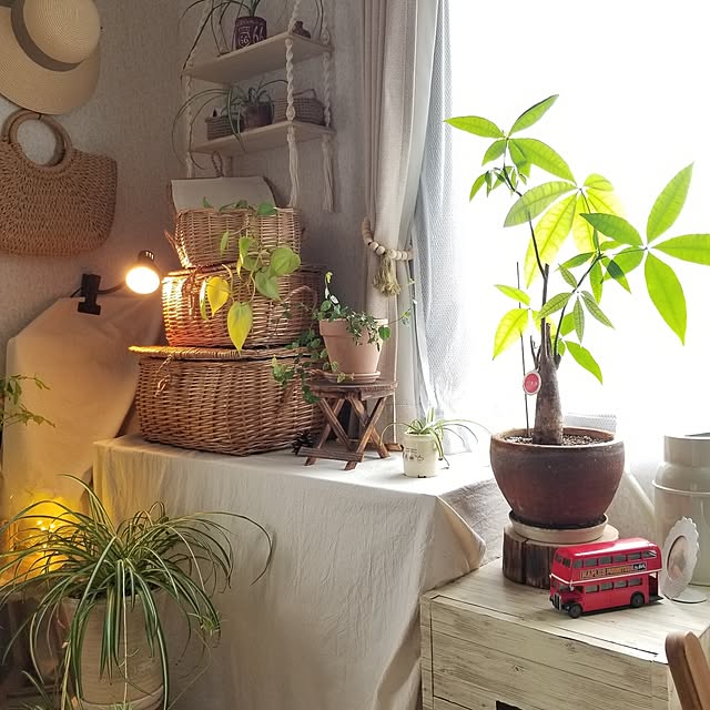 midoriさんの部屋