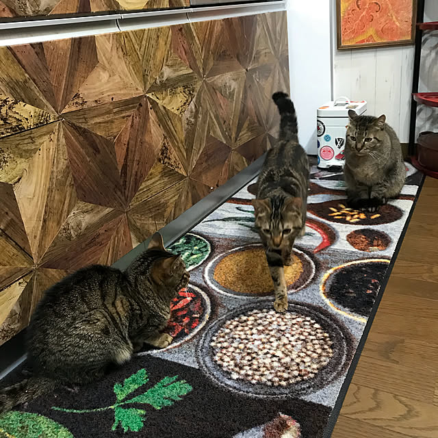 pepeさんの実例写真