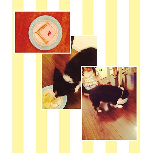 maronさんの実例写真