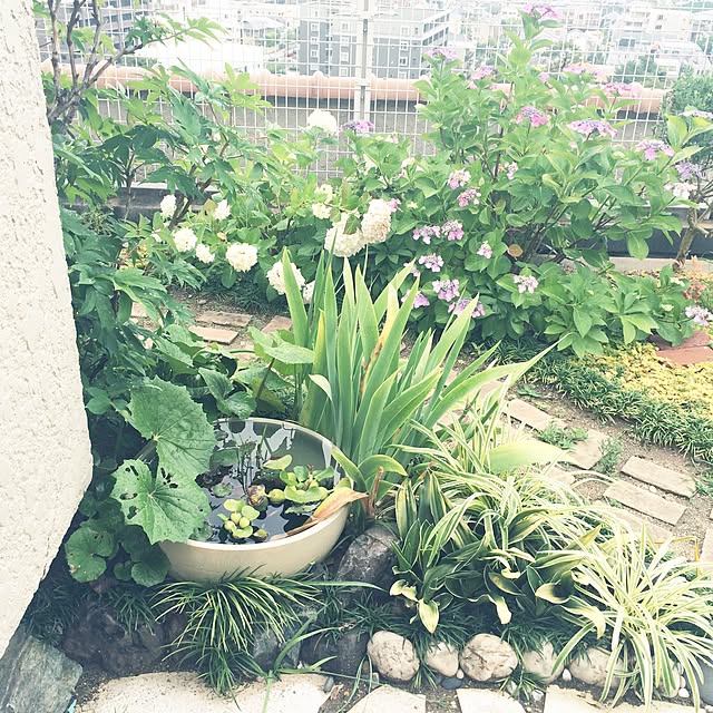 ayu_さんの実例写真