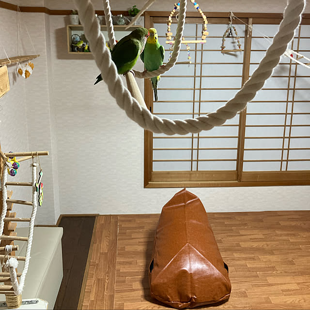 toratanさんの実例写真