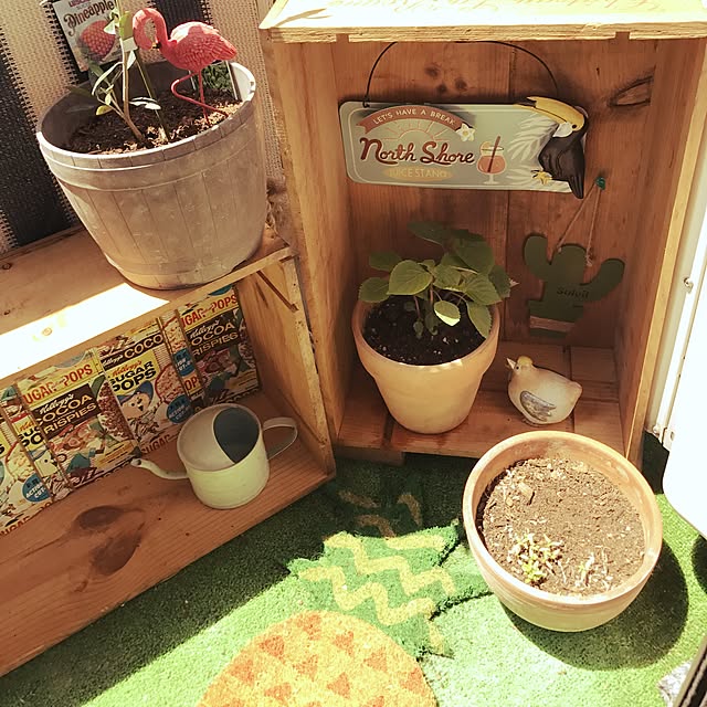 ariceさんの実例写真