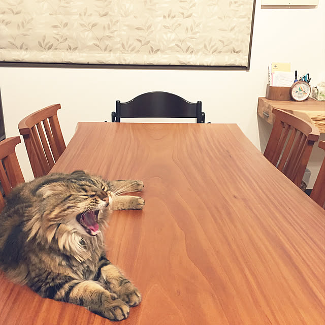 nyon3さんの実例写真