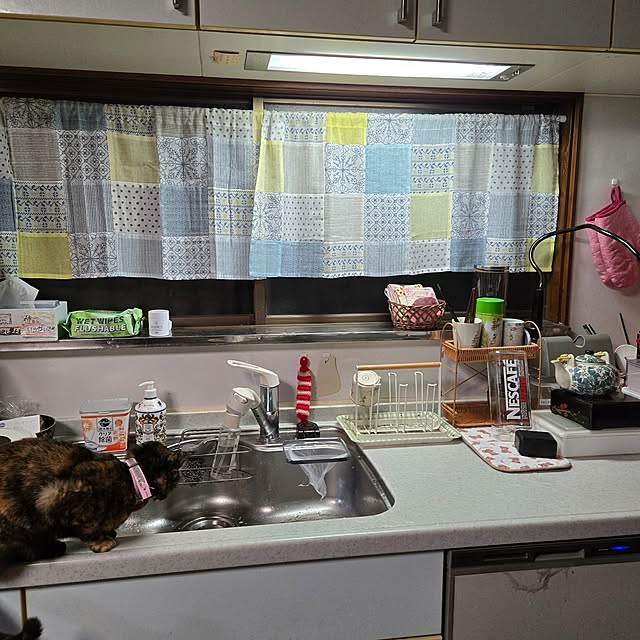 rabbit-houseさんの実例写真