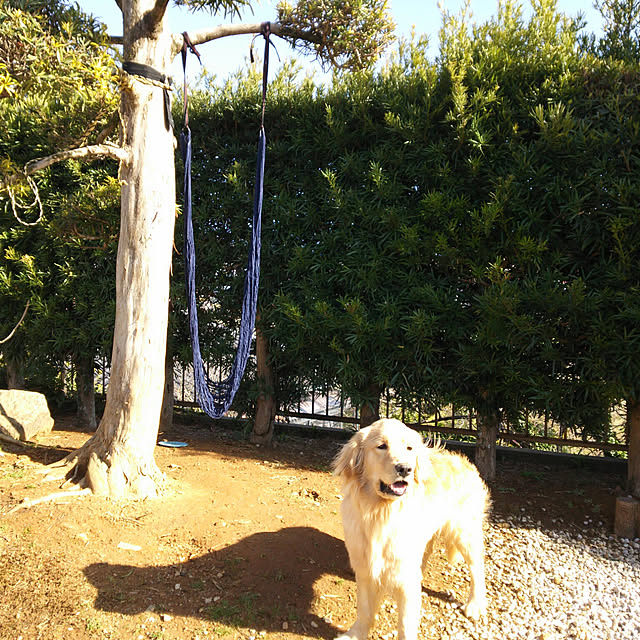 woodyさんの実例写真
