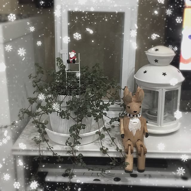 risaさんの実例写真