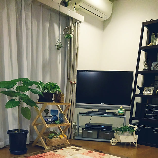 Renさんの実例写真
